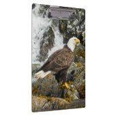 Porte-bloc Aigle à tête blanche (Swatch)