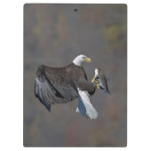 Porte-bloc Aigle Bald avec un poisson (Dos)
