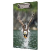 Porte-bloc Aigle Bald Le Gros Catch (Gauche)