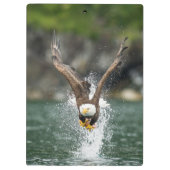 Porte-bloc Aigle Bald Le Gros Catch (Dos)