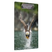 Porte-bloc Aigle Bald Le Gros Catch (Swatch)