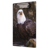 Porte-bloc Aigle de Bald (Gauche)