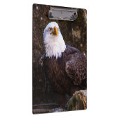 Porte-bloc Aigle de Bald (Swatch)