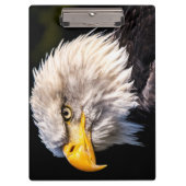 Porte-bloc Aigle de Bald (Devant)