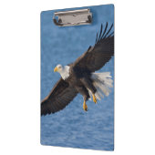 Porte-bloc Aigle royal en vol (Gauche)