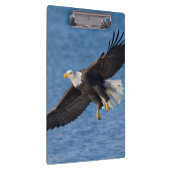 Porte-bloc Aigle royal en vol (Swatch)