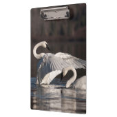 Porte-bloc Aimer les cygnes (Gauche)