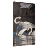 Porte-bloc Aimer les cygnes (Swatch)