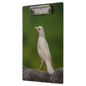 Porte-bloc Albino Robin dans Crown Point (Gauche)