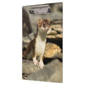 Porte-bloc Alerte Weasel (Gauche)