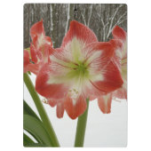 Porte-bloc Amaryllis en Fête Rouge Neige Hiver Floral (Dos)