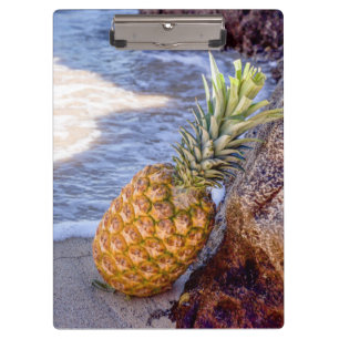 Porte-bloc Ananas penché sur les rochers à la plage