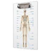 Porte-bloc Anatomie humaine (Gauche)