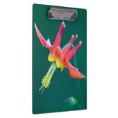 Porte-bloc Ancolie rouge (Swatch)