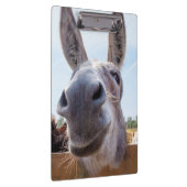 Porte-bloc Âne souriant (Swatch)