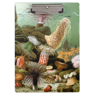 Porte-bloc Anémones de mer, Vie marine Vintage Animaux de l'o