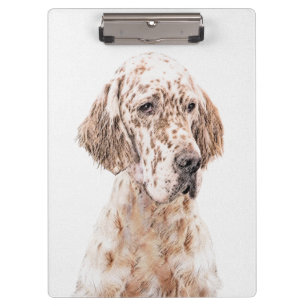 Porte-bloc Anglais Setter Orange Belton Peinture Chien Art