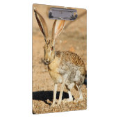 Porte-bloc Antelope portrait de lapin, Arizona (Swatch)