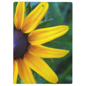 Porte-bloc Araignée sur un Porte - bloc de tournesol (Dos)