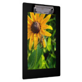 Porte-bloc Araignée sur un Porte - bloc de tournesol (Swatch)