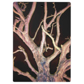 PORTE-BLOC ARBRE (Dos)