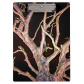 PORTE-BLOC ARBRE (Devant)