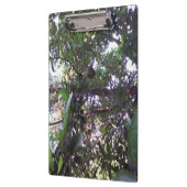 Porte-bloc Arbre d'avocat (Gauche)