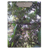 Porte-bloc Arbre d'avocat (Devant)