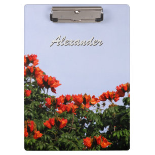 Porte-bloc Arbre de tulipe africain botanique tout texte