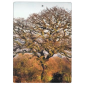 PORTE-BLOC ARBRE D'HIVER (Dos)