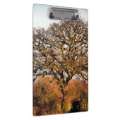 PORTE-BLOC ARBRE D'HIVER (Swatch)
