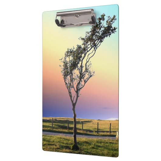 PORTE-BLOC ARBRE LONE (Gauche)