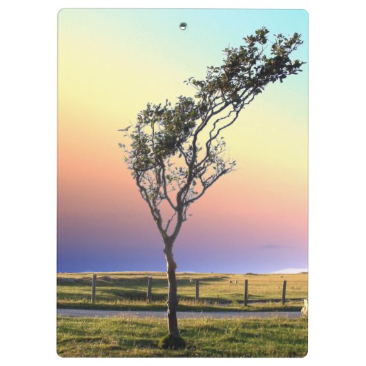 PORTE-BLOC ARBRE LONE (Dos)