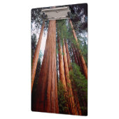Porte-bloc Arbres séquoias géants à feuilles persistantes (Gauche)
