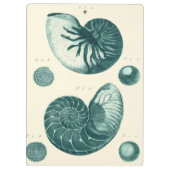 Porte-bloc Art de coquillage rouge et vert (Dos)