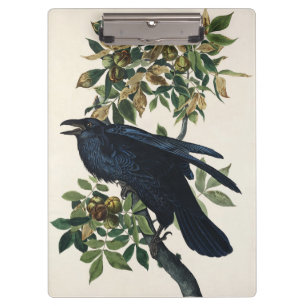 Porte-bloc Art de la nature de l'oiseau corbeau Audubon vinta