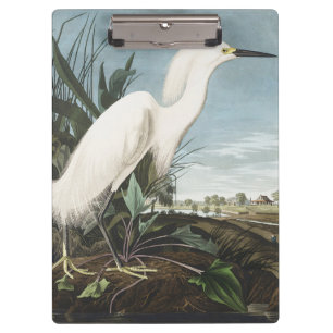 Porte-bloc Art vintage d'Audubon représentant un héron neigeu