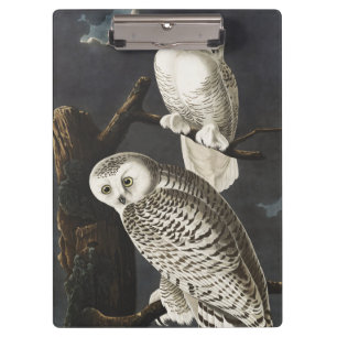 Porte-bloc Art vintage de l'oiseau de nuit Hibou blanc d'Audu