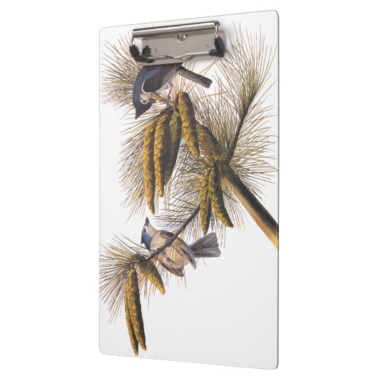 Porte-bloc Audubon Crested Titmouse Birds in Pine Tree (Gauche)