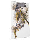 Porte-bloc Audubon Crested Titmouse Birds in Pine Tree (Swatch)