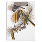 Porte-bloc Audubon Crested Titmouse Birds in Pine Tree (Devant)