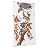 Porte-bloc Audubon Downy Pic Couple aux fleurs (Swatch)
