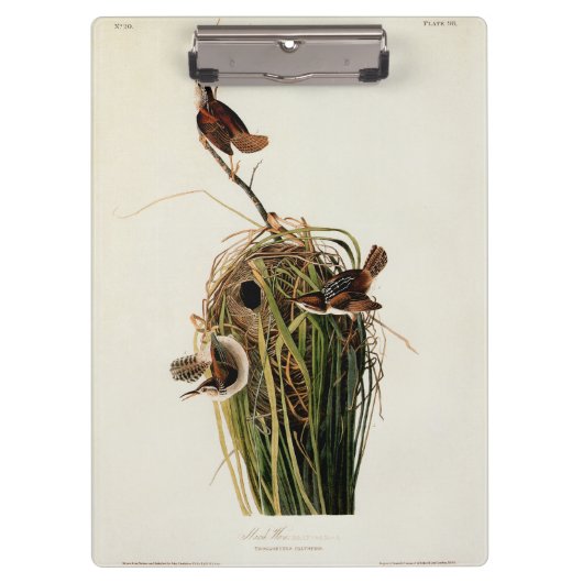 Porte-bloc Audubon Marsh Wren Bird Art (Devant)