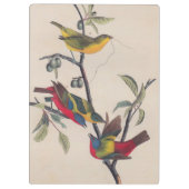 Porte-bloc Audubon Peint Bunting Bird Wildlife (Dos)