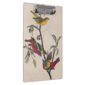 Porte-bloc Audubon Peint Bunting Bird Wildlife (Swatch)