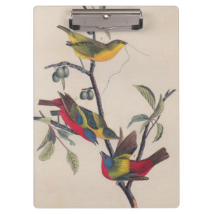 Porte-bloc Audubon Peint Bunting Bird Wildlife