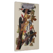 Porte-bloc Audubon Peinture d'Oiseaux Pic Pilé (Swatch)