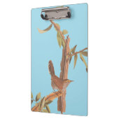 Porte-bloc Audubon's Bewick's long Tail Wren Song Bird (Gauche)