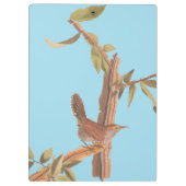 Porte-bloc Audubon's Bewick's long Tail Wren Song Bird (Dos)