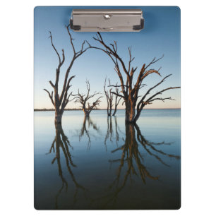 Porte-bloc Australie, vallée du Murray, Barmera, lac